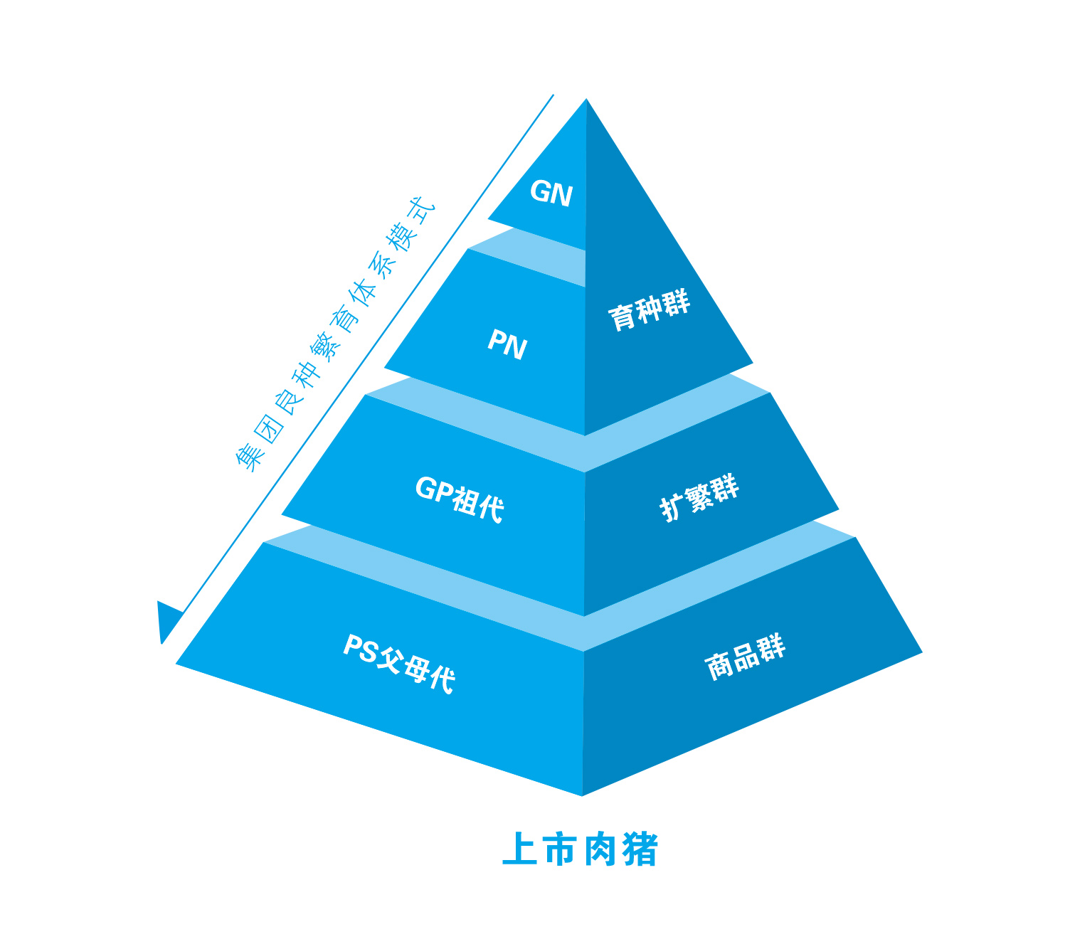 澳门原料网1688